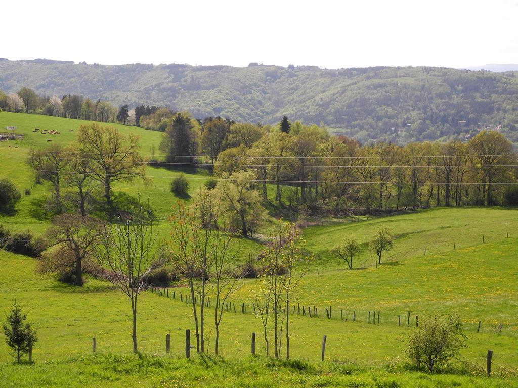 Le Plateau De La Danse Saint-Victor-sur-Loire
